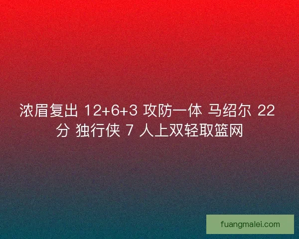 浓眉复出 12+6+3 攻防一体 马绍尔 22 分 独行侠 7 人上双轻取篮网