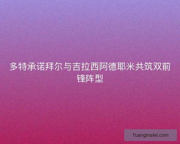 多特承诺拜尔与吉拉西阿德耶米共筑双前锋阵型