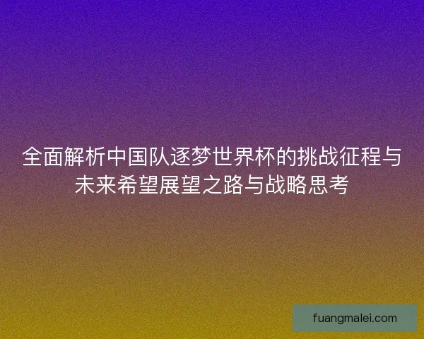 全面解析中国队逐梦世界杯的挑战征程与未来希望展望之路与战略思考
