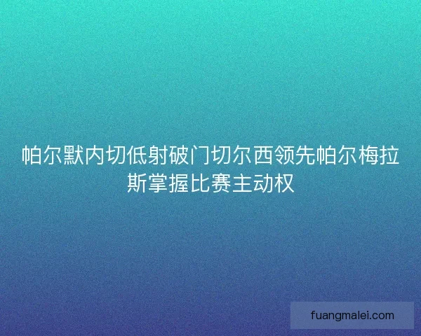 帕尔默内切低射破门切尔西领先帕尔梅拉斯掌握比赛主动权