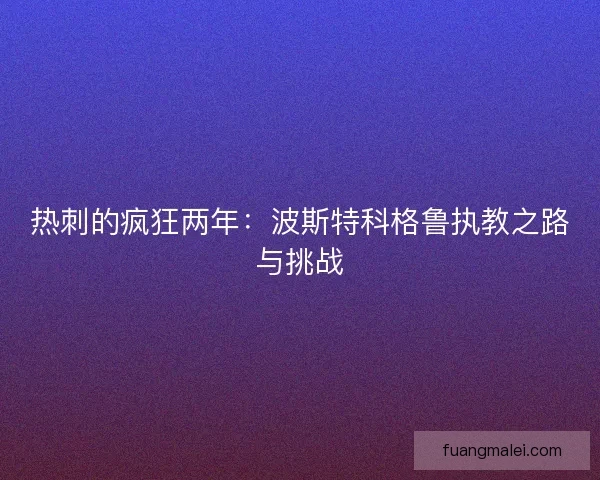 热刺的疯狂两年：波斯特科格鲁执教之路与挑战